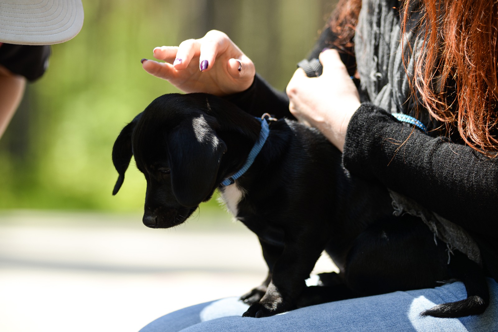 © 2021 Jēkabs Pravornis