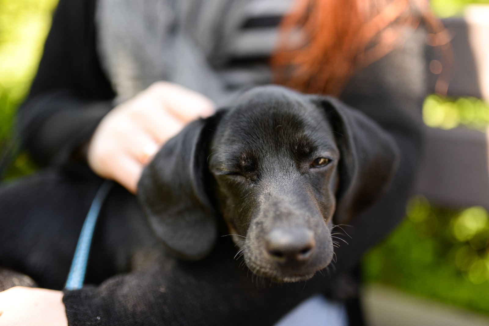 © 2021 Jēkabs Pravornis