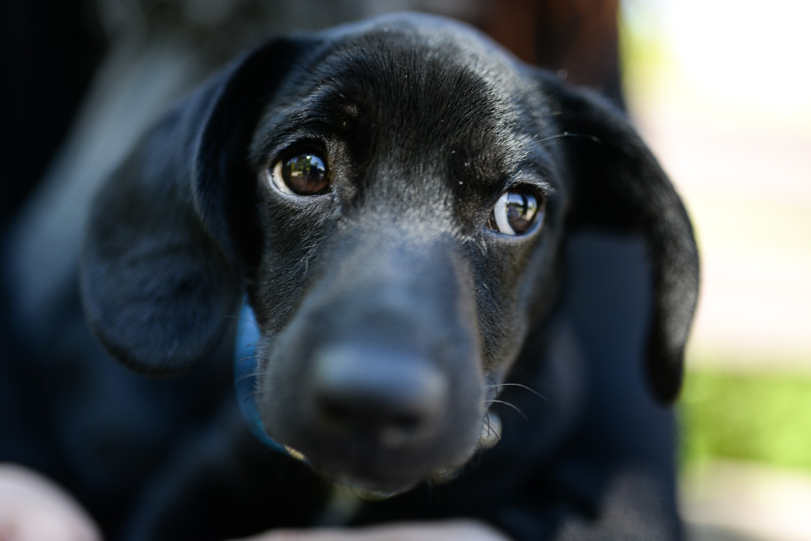 © 2021 Jēkabs Pravornis