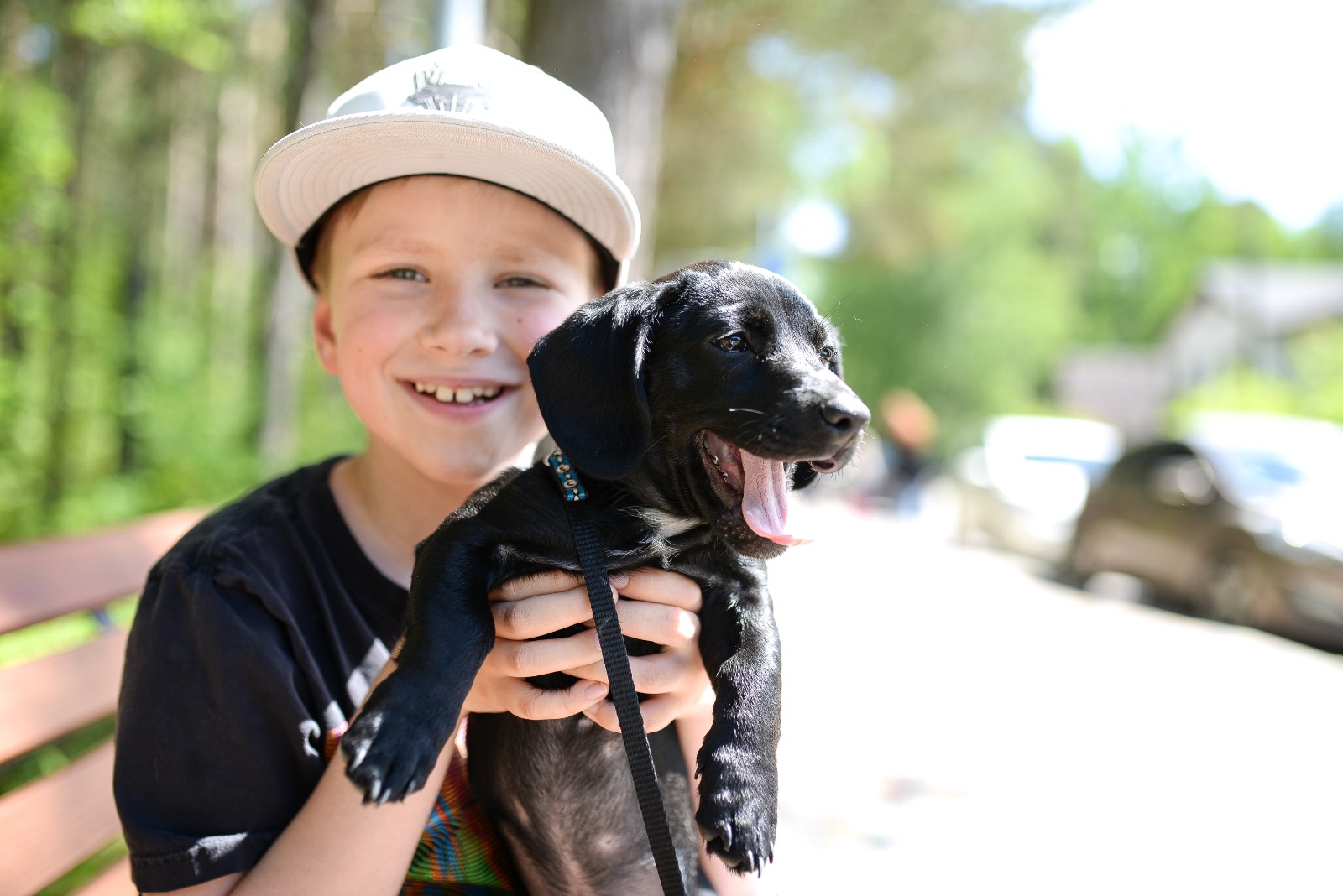 © 2021 Jēkabs Pravornis