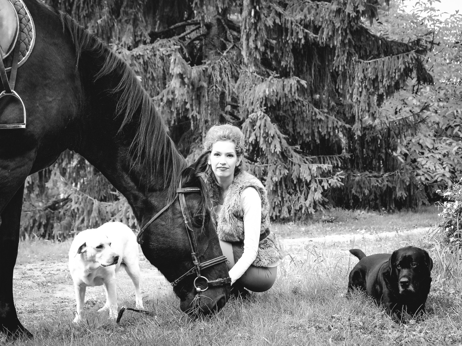 © 2021 Jēkabs Pravornis