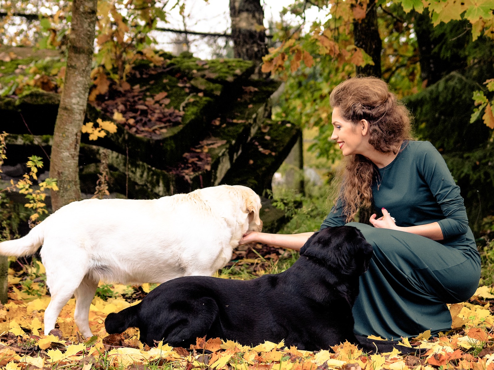 © 2021 Jēkabs Pravornis