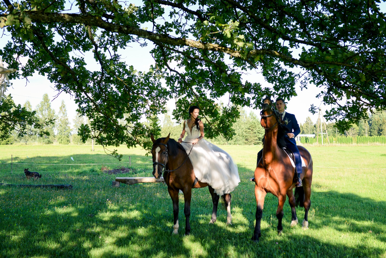 © 2021 Jēkabs Pravornis